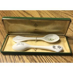 Vintage Donegal Irish Parian China Hawthorne Spoons in Green Velvet Box